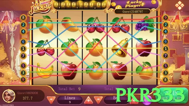 pkr333 App - 5